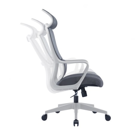 HASTIN Office Chair