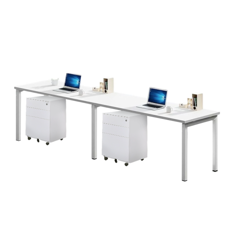 FORSBERG 2 Seater Work Station