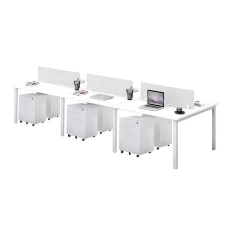 FORSBERG 6 Seater Work Station