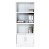 HAVIR Display Cabinet with Glass Door - JIJI.SG