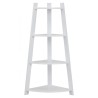 DOMINY Display Shelf - JIJI.SG