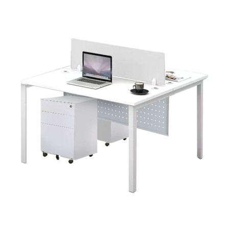 FORSBERG 2 Seater Work Station with Modesty Panel