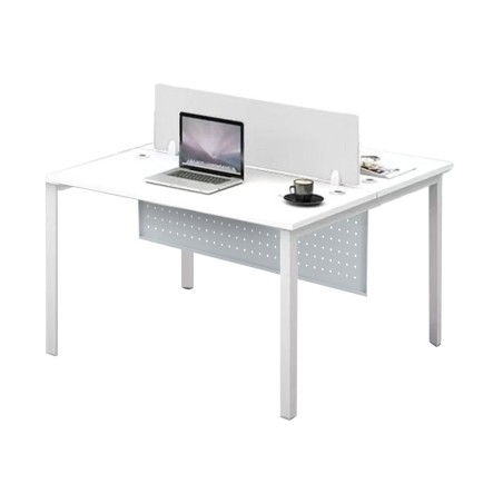 FORSBERG 2 Seater Work Station with Modesty Panel