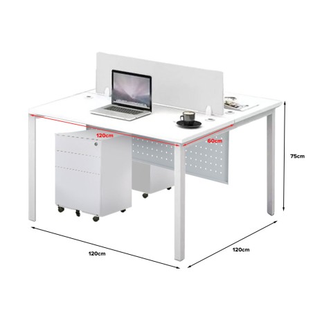 FORSBERG 2 Seater Work Station with Modesty Panel