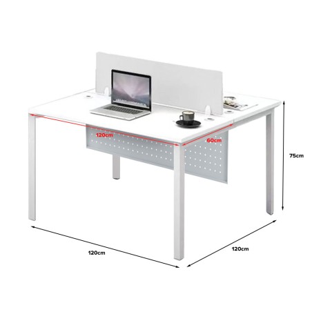 FORSBERG 2 Seater Work Station with Modesty Panel