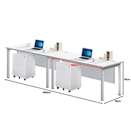 FORSBERG 2 Seater Work Station with Modesty Panel