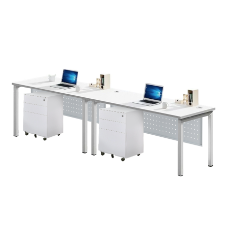 FORSBERG 2 Seater Work Station with Modesty Panel