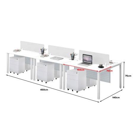 FORSBERG 6 Seater Work Station with Modesty Panel