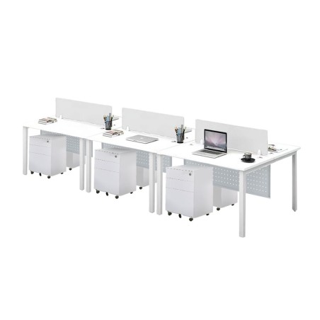 FORSBERG 6 Seater Work Station with Modesty Panel