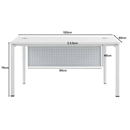 FORSBERG 1 Seater Office Desk with Modesty Panel