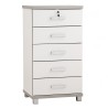 NAOMI Chest of 5 Drawers