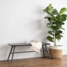 MASSIM Dining Bench - JIJI.SG