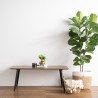 DANISH Rectangular Coffee Table - JIJI.SG