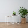 CARIAD Set of 2 Coffee Table - JIJI.SG