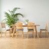 ROLAND Dining Table - JIJI.SG