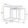 CARIAD Set of 2 Coffee Table - JIJI.SG