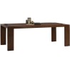 CARLSON Dining Table - JIJI.SG