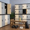 OPTIMUS PVC Cabinet Locker - JIJI.SG