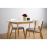 AIMON Dining Table - JIJI.SG