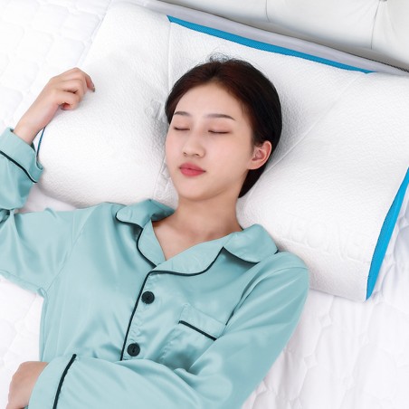 DREAMAX TRANQUIL Memory Foam Pillow