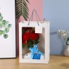 ONES AGNETTA Window Paper Bag - JIJI.SG