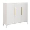 YARA Steel Shoe Cabinet - JIJI.SG