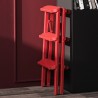 SHAN Step Ladder - JIJI.SG