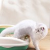 CNF Tofu Cat Litter - JIJI.SG