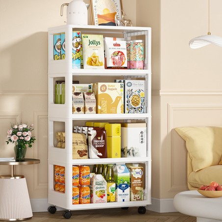 SERICH Storage Cabinet on Castors