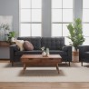 LEMAR Coffee Table - JIJI.SG