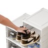 TENE Foldable Shoe Box - JIJI.SG