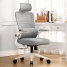 VISIONSWIPE ESMA Office Chair - JIJI.SG