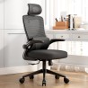VISIONSWIPE ESMA Office Chair - JIJI.SG
