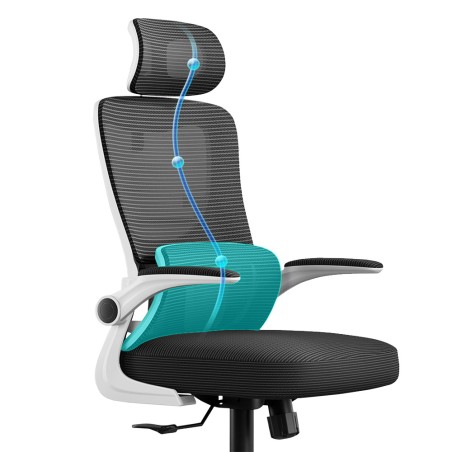 VISIONSWIPE ESMA Office Chair