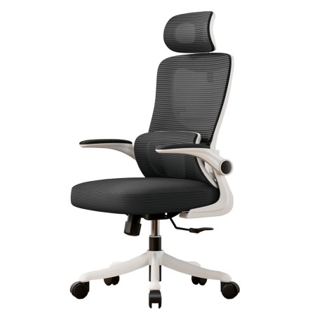 VISIONSWIPE ESMA Office Chair