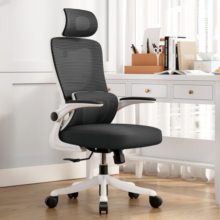 VISIONSWIPE ESMA Office Chair