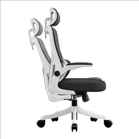 VISIONSWIPE ESMA Office Chair