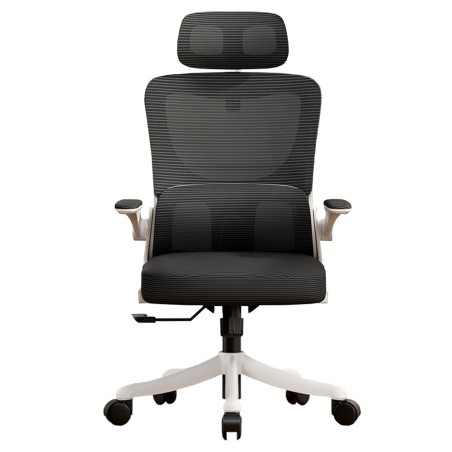 VISIONSWIPE ESMA Office Chair