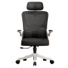 VISIONSWIPE ESMA Office Chair - JIJI.SG