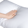 DREAMAX HIRSCHI Premium Pillow - JIJI.SG