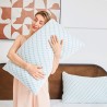DREAMAX FRESCURA Cooling Shredded Memory Foam Pillow