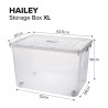 HAILEY Bundle of 4 Storage Box - JIJI.SG