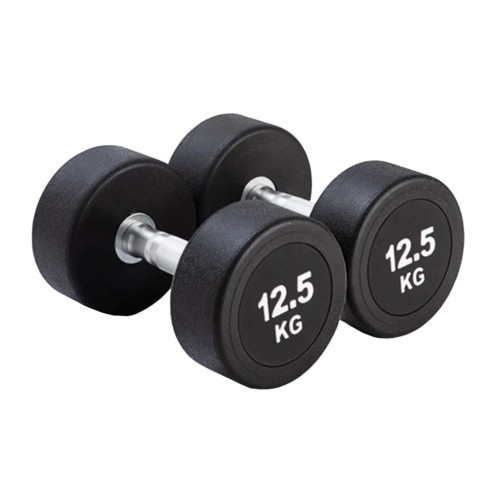 FITNET FARON Round Head Dumbbell - JIJI.SG
