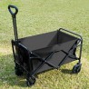 STEFAN Foldable Outdoor Trolley Cart - JIJI.SG
