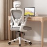 VISIONSWIPE SERRA Office Chair