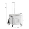 COURTNEY Foldable Grocery Trolley - JIJI.SG