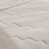 DREAMAX MOCHI Ice Silk Cooling Soft Blanket - JIJI.SG