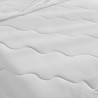 DREAMAX MOCHI Ice Silk Cooling Soft Blanket - JIJI.SG