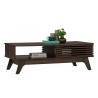 FLORO Coffee Table