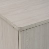 EVERETT Shoe Cabinet - JIJI.SG